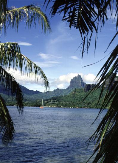 CD#03-Abranowicz TRV