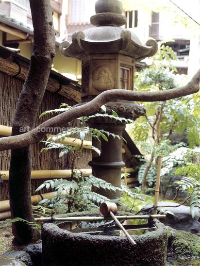 CD#11 - Abranowicz Misc.