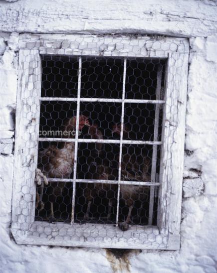 CD#6 - John Huba Travel