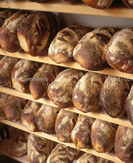 CD#04-Matthew Hranek TRV INT