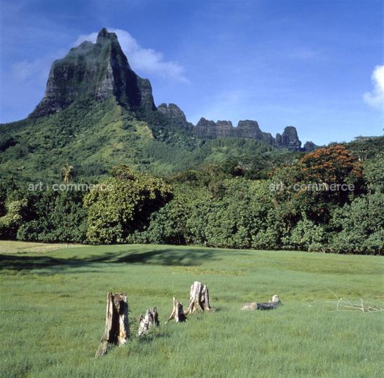 CD#03-Abranowicz TRV