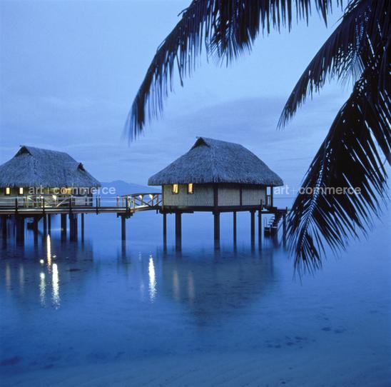 CD#03-Abranowicz TRV