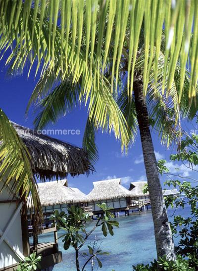 CD#03-Abranowicz TRV