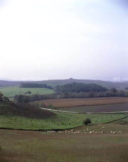 CD#05 HRK-Int/LS/Pr/Trv