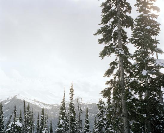 ski9J-9A