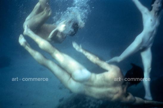 The Shrug, The Hum, The Ha, 1981