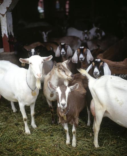 CD#04-Matthew Hranek TRV INT