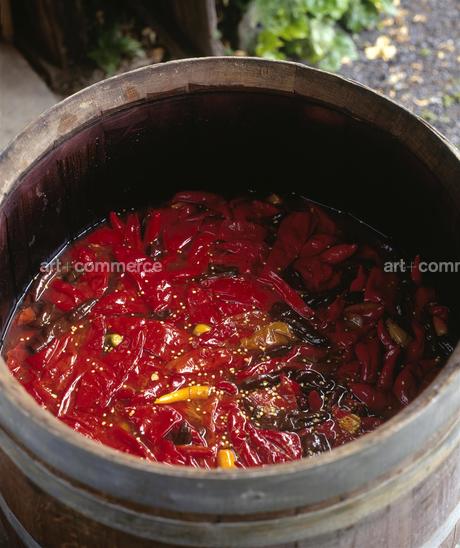 CD#04-Matthew Hranek TRV INT