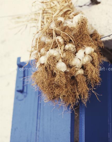 CD#6 - John Huba Travel