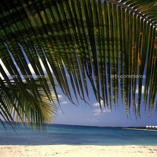 CD#06-W.Abranowicz TRV