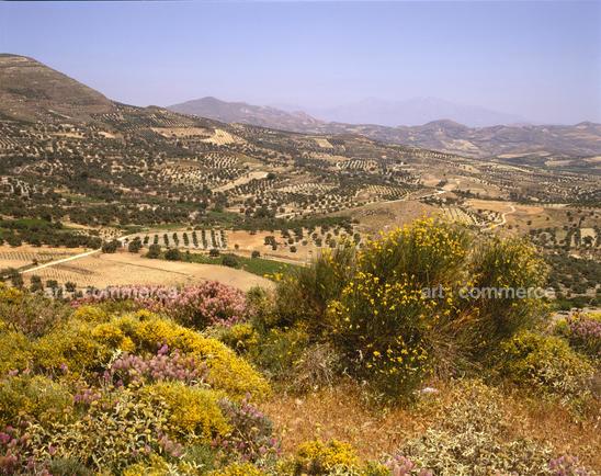 CD#6 - John Huba Travel