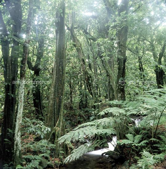 CD#03-Abranowicz TRV