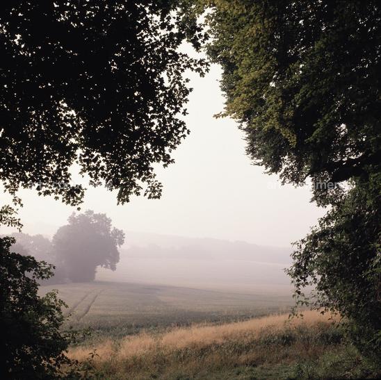 CNT.SouthDowns.94.01.tif