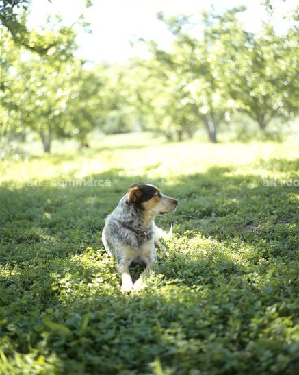 CD#04-Matthew Hranek TRV INT