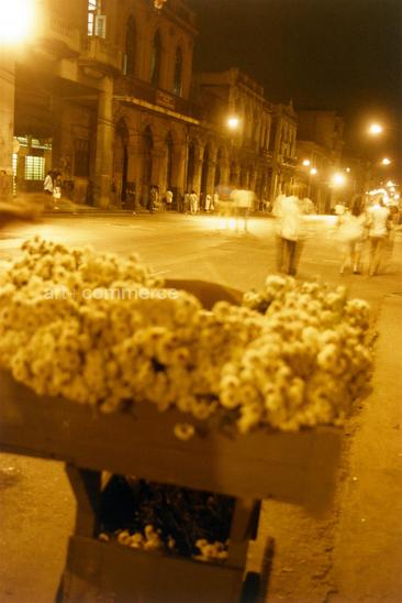 CD#03 - David LaChapelle TRV