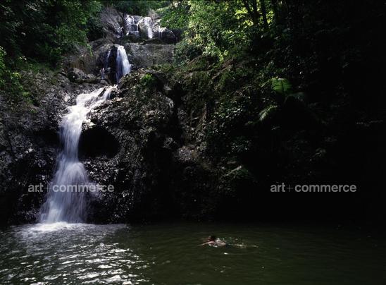 CD#06-W.Abranowicz TRV