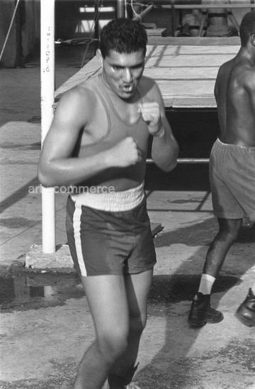 CD#03 - David LaChapelle TRV