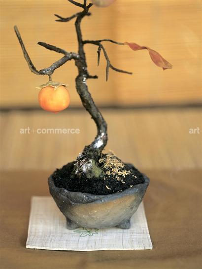 CD#11 - Abranowicz Misc.