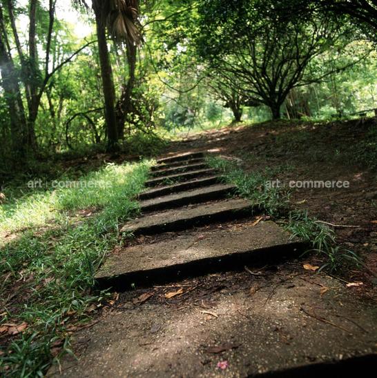 CD#06-W.Abranowicz TRV