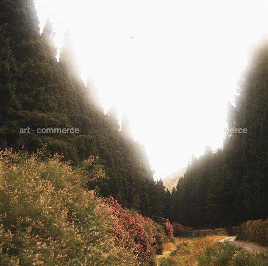 contact on CD#14 ABR -  TRV