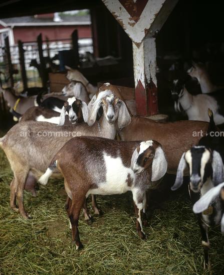 CD#04-Matthew Hranek TRV INT