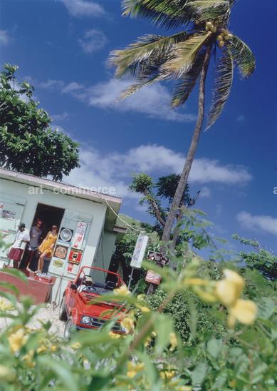 CD#03 - David LaChapelle TRV