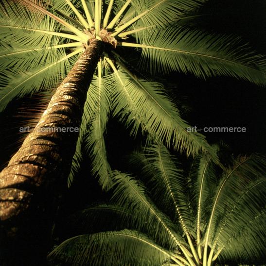 CD#03-Abranowicz TRV