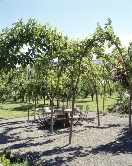 CD#04-Matthew Hranek TRV INT