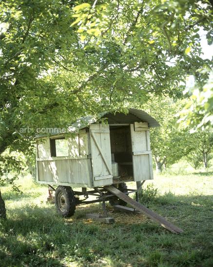 CD#04-Matthew Hranek TRV INT