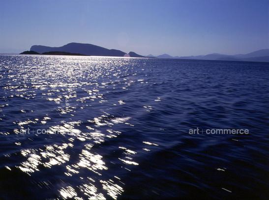 contact on CD#14 ABR -  TRV