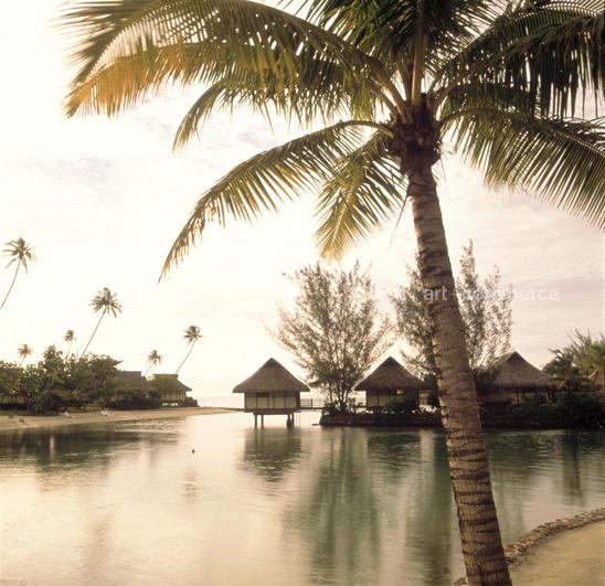 CD#03-Abranowicz TRV