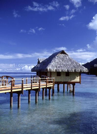 CD#03-Abranowicz TRV