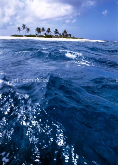 CD#07-W.Abranowicz TRV