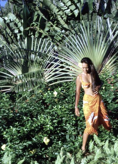 CD#03-Abranowicz TRV