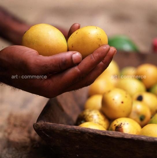 CD#06-W.Abranowicz TRV