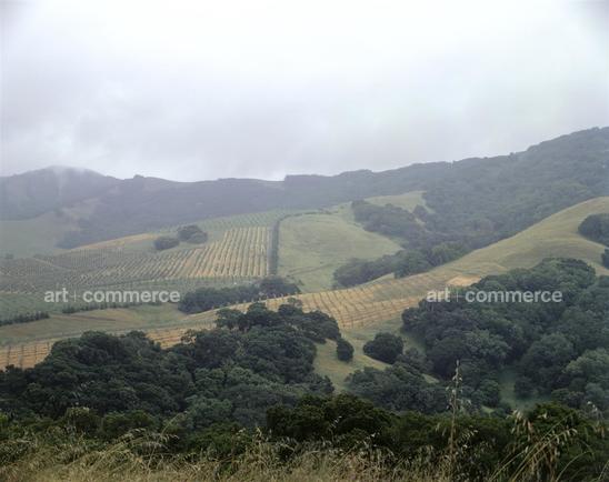 CD#04-Matthew Hranek TRV INT