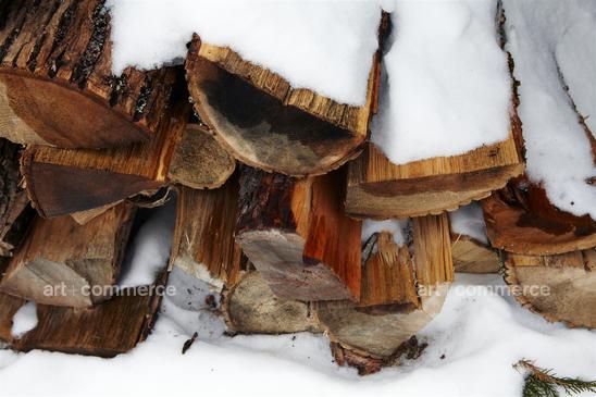 WA_BA_Rose_Kluger_Exter_151.tif WA_BA_Rose_Kluger_Dessert_069.tif