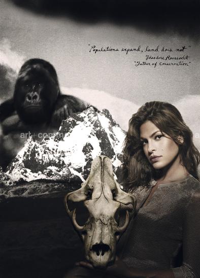 Above-PB-Cover-final2