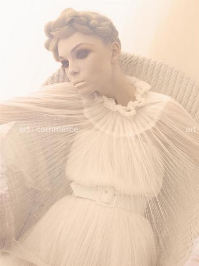 s_ivog301107_07-007 f3