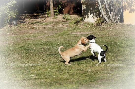 15_ooh-FrenchElle_0563.tif