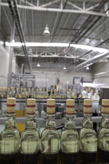 WE_Tequila_1216.jpg