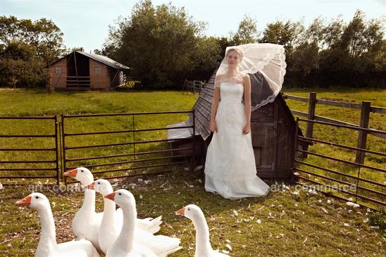 130808_Brides_Shot06_036_F1.tif