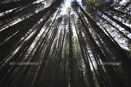 T&C_Patagonia_0454_RT.psd