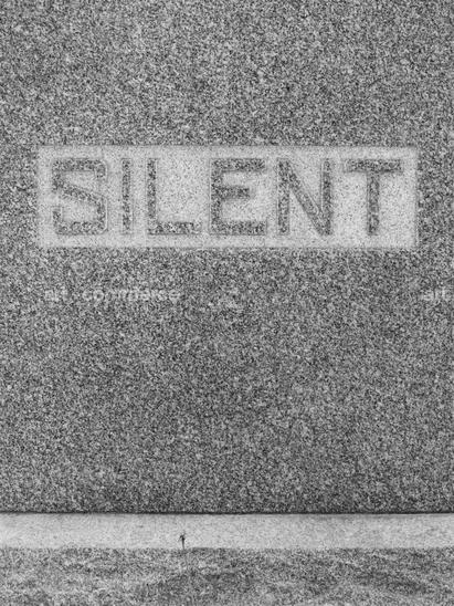 15135 IVO 21D SM DQZ30J.TIF