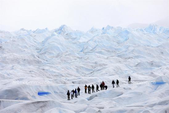 T&C_Patagonia_5507_RT.psd