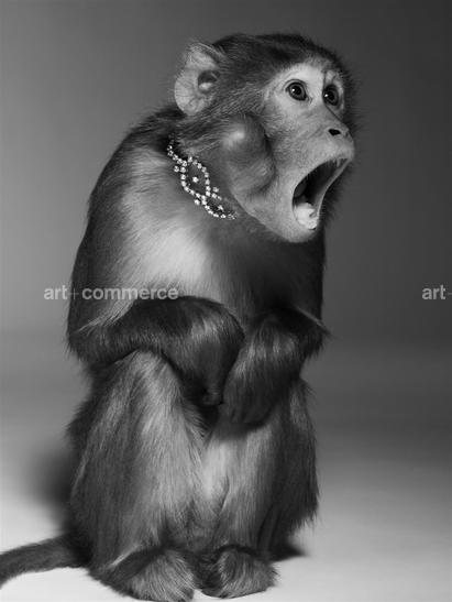 ss_pop_190908_monkeys1-085-2 f2.tif