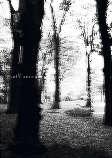 NY3_02.tif
