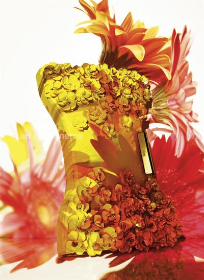 15602 BAZ 02J RB U30MK1.tif