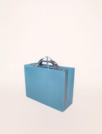 a shopping bag (3).tif