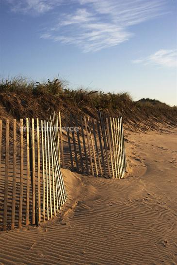WA_Matthiessen_Amagansett_Dunes0013.tif